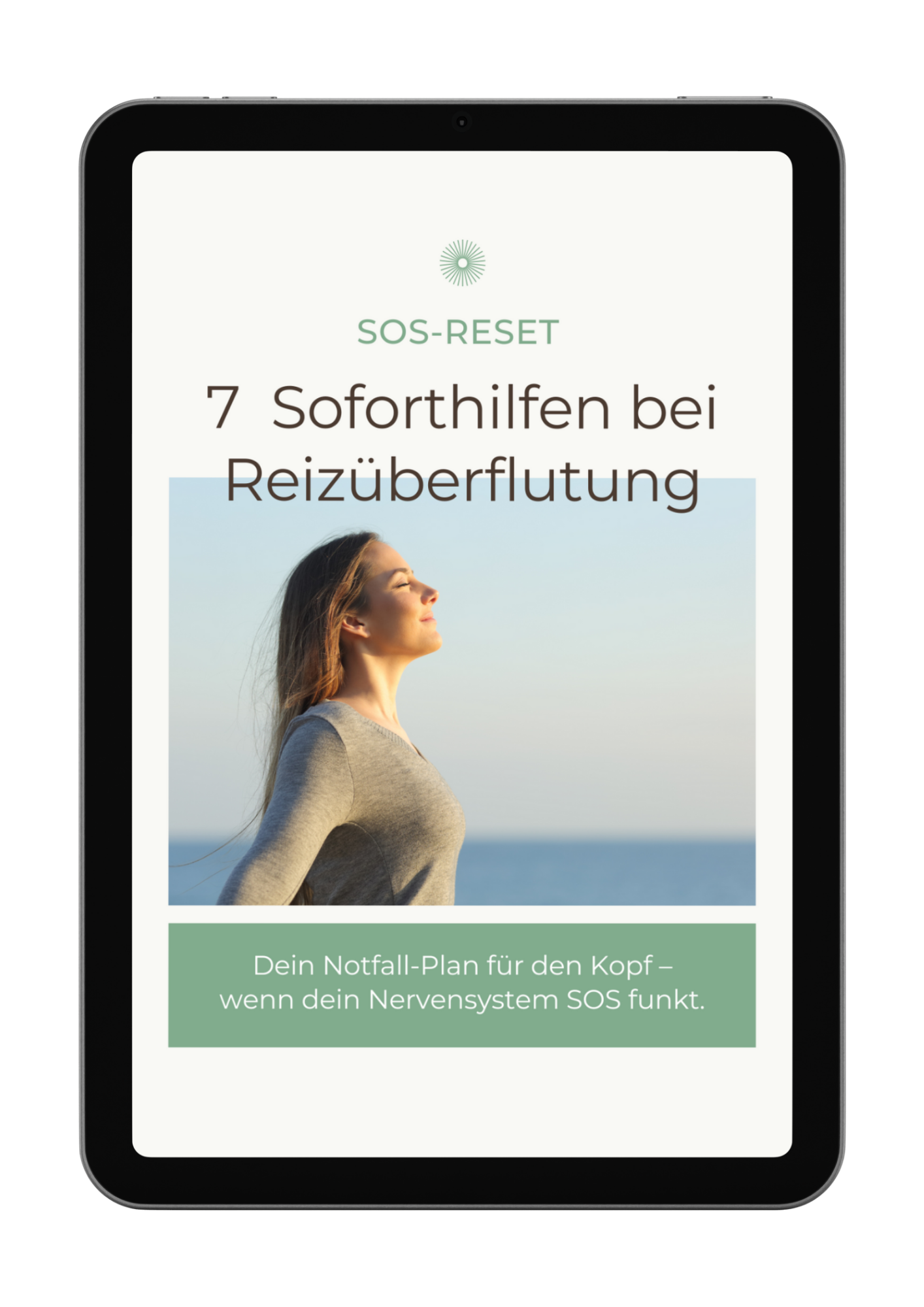 SOS Reset Ebook bei Reizüberflutung