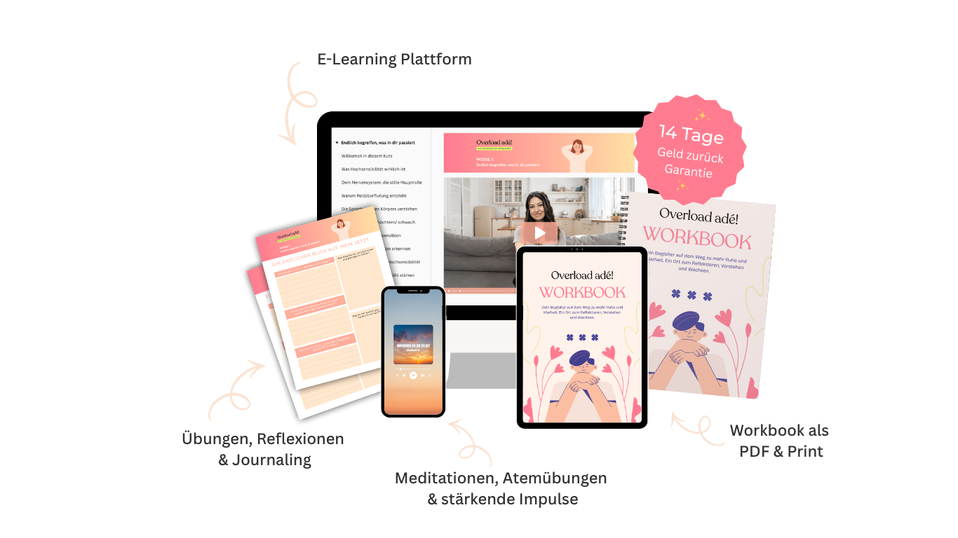 Overload ade_Onlinekurs bei Reizüberflutung